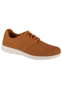 Timberland - Buty do chodzenia męskie, Graydon Oxford Low. Kolor: brązowy. Sport: turystyka piesza #1