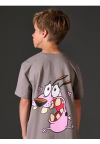 Sinsay - Koszulka z nadrukiem na plecach Courage the Cowardly Dog: Animated Series - szary. Kolor: szary. Wzór: nadruk #1