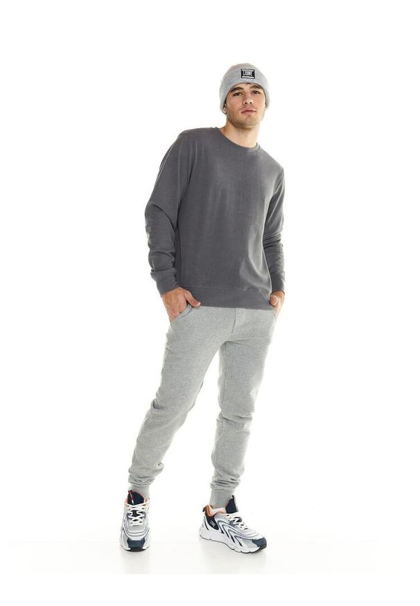 LEONE 1947 APPAREL - Męski polarowy sweter Leone Lifestyle z okrągłym dekoltem. Kolor: szary. Materiał: polar. Styl: sportowy