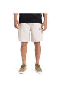 Quiksilver - Szorty spacerowe dla Mężczyzn TAXER 19" Szary. Kolor: szary. Materiał: tkanina, elastan, poliester, bawełna. Długość: krótkie. Sezon: lato