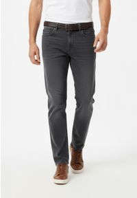 Volcano - Grafitowe jeanys, Regular, D-JERRY 61. Okazja: na co dzień. Kolekcja: plus size. Kolor: szary. Styl: wizytowy, casual #1