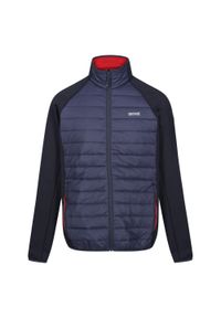 Regatta - Męska Kurtka Hybrydowa Clumber IV Full Zip. Kolor: czerwony, wielokolorowy, niebieski