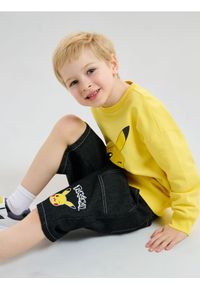 Sinsay - Bawełniane szorty bermudy Pokemon - czarny. Kolor: czarny. Materiał: bawełna #1