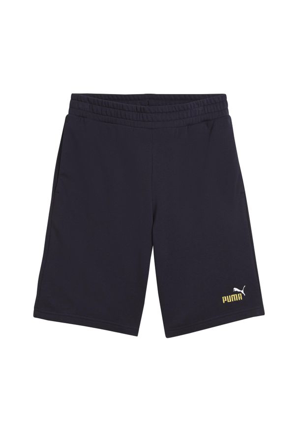 Szorty Puma No. 1 10". Kolor: niebieski. Długość: krótkie. Sezon: lato