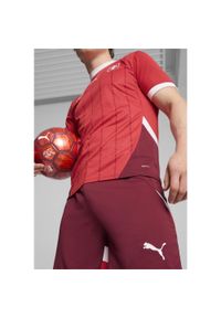 Puma - Męska replika spodenek do piłki nożnej reprezentacji Szwajcarii PUMA. Kolor: czerwony