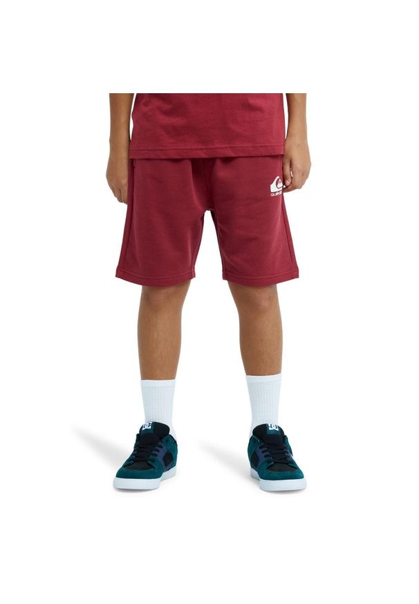 Quiksilver - Spodenki z elastyczną talią dla Chłopcy EASY DAY Czerwony. Kolor: czerwony, wielokolorowy, różowy. Materiał: poliester, bawełna, tkanina. Długość: krótkie. Sezon: lato