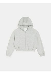 Sinsay - Bluza z kapturem basic - szary. Typ kołnierza: kaptur. Kolor: szary #1