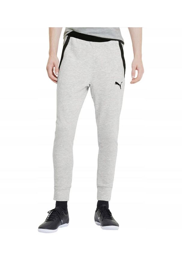 Spodnie męskie dresowe bawełniane szare Puma slim fit. Kolor: szary. Materiał: dresówka, bawełna