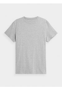 4f - T-shirt regular gładki męski. Kolor: szary. Materiał: bawełna, wiskoza. Wzór: gładki #1