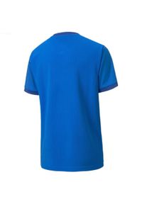 Podkoszulek Puma Teamgoal 23 Jersey Jr, Dzieci. Kolor: niebieski. Materiał: jersey, poliester