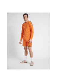 Hummel koszulka męska z długim rękawem hml Authentic Poly Jersey. Kolor: wielokolorowy, pomarańczowy, czarny. Materiał: jersey. Długość rękawa: długi rękaw. Długość: długie