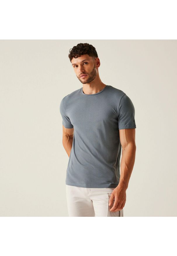 Regatta - Tait męska koszulka. Kolor: szary. Materiał: bawełna. Sport: turystyka piesza