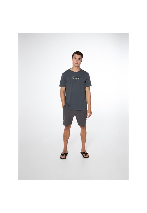 Koszulka męska Protest PRTLEGUNDI surf t-shirt. Kolor: zielony, szary, wielokolorowy
