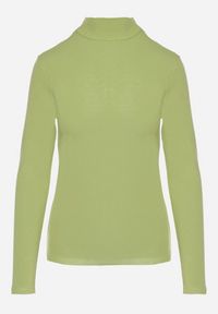 Born2be - Zielona Bluzka Golf Typu Longsleeve Altera. Okazja: do pracy, na co dzień. Typ kołnierza: golf. Kolor: zielony. Materiał: jeans. Długość rękawa: długi rękaw. Styl: elegancki, casual #6