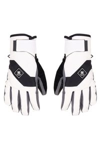 DC Shoes Rękawice narciarskie Franchise ADYHN03030 Biały. Kolor: biały. Materiał: syntetyk. Sport: narciarstwo #1