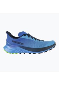 Buty do biegania męskie Rossignol Venosk azure. Kolor: niebieski #1