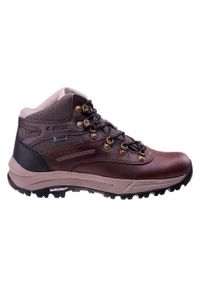 Hi-tec - Damskie Buty Do Chodzenia Altitude VI. Kolor: brązowy. Styl: sportowy