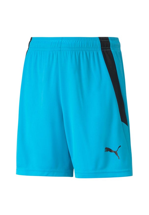 Szorty dla dzieci Puma Team Liga. Kolor: niebieski, wielokolorowy, czarny. Styl: sportowy
