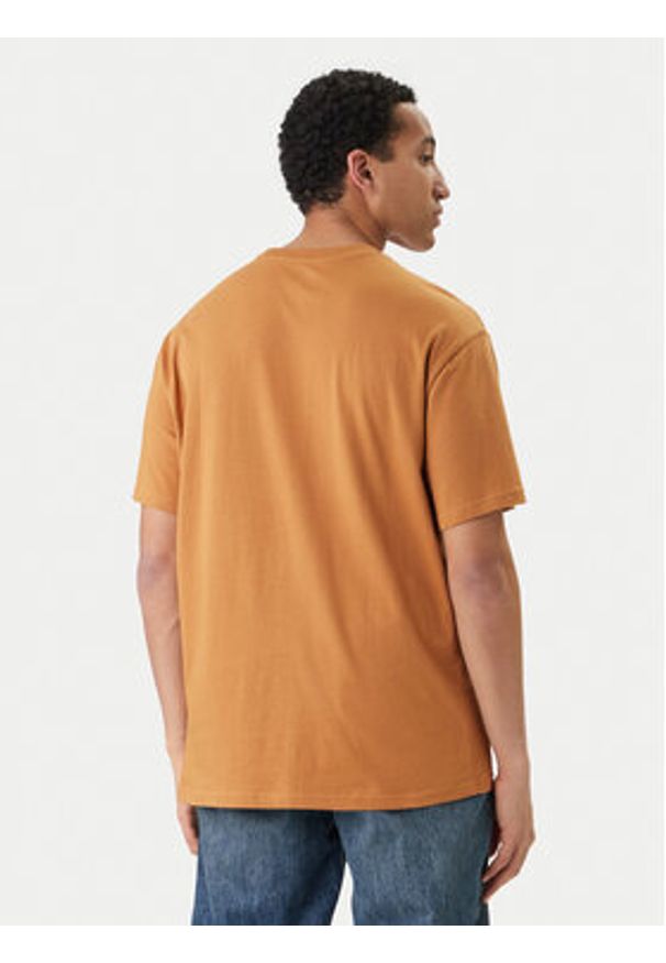 Quiksilver T-Shirt Salt Water EQYZT08204 Brązowy Regular Fit. Kolor: brązowy. Materiał: bawełna