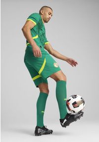 Puma - Męskie szorty Senegal 2025 PUMA Sport Green Electric Lime. Kolor: zielony. Wzór: aplikacja
