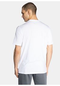 Koszulka męska Under Armour Team Issue Wordmark SS (1329582-100). Kolor: biały #2