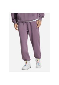 Spodnie dresowe męskie Prosto Flathead. Kolor: fioletowy. Materiał: dresówka #1