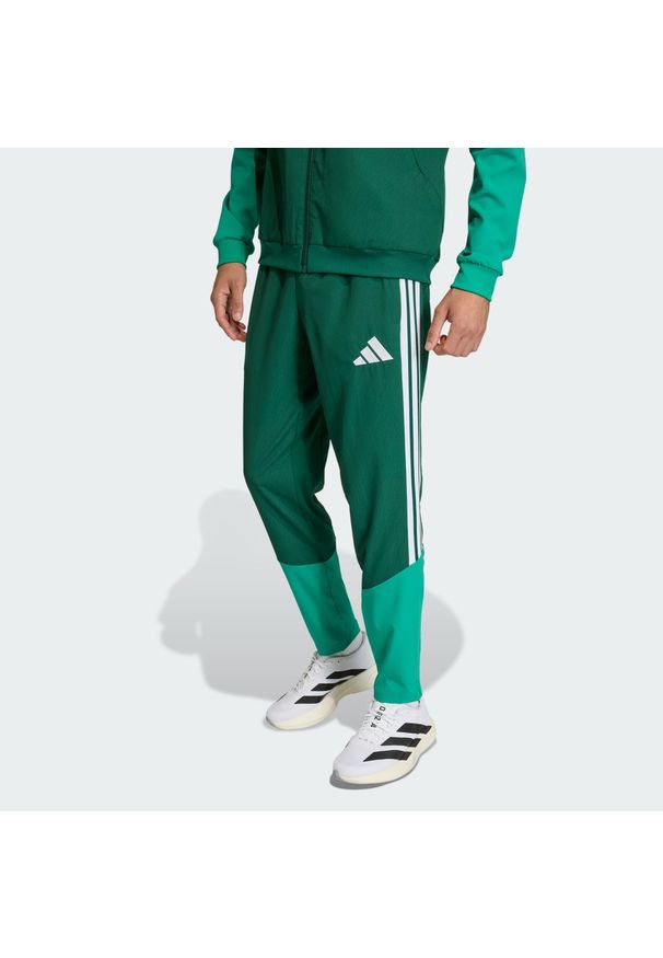 Adidas - Spodnie reprezentacyjne Algieria 26. Kolor: zielony. Materiał: tkanina. Sport: piłka nożna