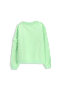 Lemon Explore - Bluza sportowa dla dzieci Lemon Exlopre WL5. Kolor: zielony. Materiał: bawełna, poliester