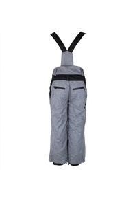PEAK MOUNTAIN - Spodnie narciarskie dla dzieci Peak Mountain Ebas. Kolor: szary. Sezon: zima. Sport: narciarstwo #2