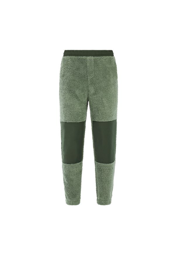 Spodnie do biegania Protest Risk. Kolor: zielony. Sport: bieganie