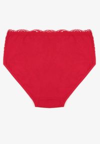 Renee - Bordowe Majtki Figi z Bawełny Zdobione Koronką Idivia. Kolekcja: plus size. Kolor: czerwony. Materiał: koronka, bawełna. Wzór: koronka, aplikacja