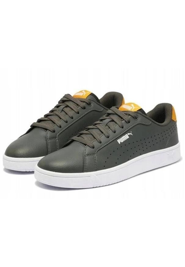 Buty Sportowe Męskie Puma Grounded Perf. Kolor: szary