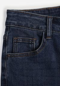 Renee - Niebieskie Jeansy z Domieszką Wiskozy o Kroju Flare High Waist Alendria. Okazja: na imprezę. Stan: podwyższony. Kolor: niebieski. Styl: elegancki #6