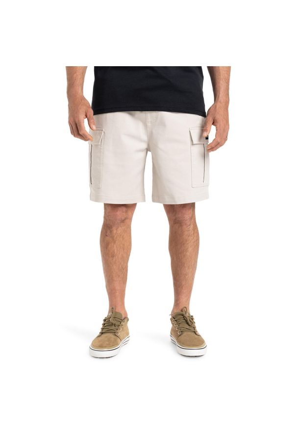 Quiksilver - Szorty spacerowe dla Mężczyzn TAXER 19" Szary. Kolor: szary. Materiał: tkanina, elastan, poliester, bawełna. Długość: krótkie. Sezon: lato