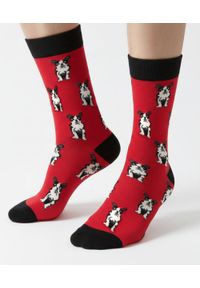 His Story - Tematyczne Skarpetki Bawełniane - Psy na Czerwonym Tle. Kolor: czerwony. Materiał: elastan, bawełna, poliamid #2