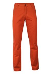 Ezreal - Spodnie Męskie, Chinosy - 100% BAWEŁNA, Zwężane nogawki, Kolorowe, Rude. Kolor: brązowy. Materiał: bawełna. Wzór: kolorowy