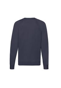 FRUIT OF THE LOOM - Lekki Męski Sweter Raglanowy. Kolor: niebieski. Długość rękawa: raglanowy rękaw