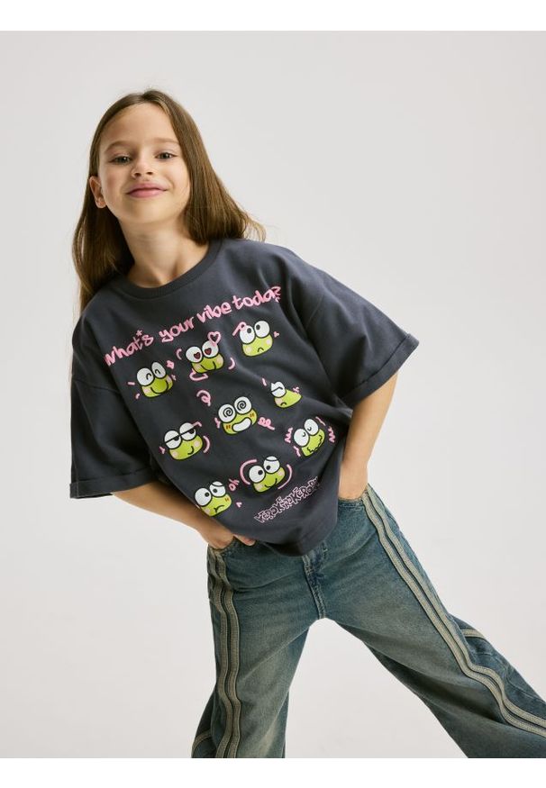 Reserved - T-shirt Hello Kitty and Friends - ciemnoszary. Kolor: szary. Materiał: bawełna. Wzór: motyw z bajki