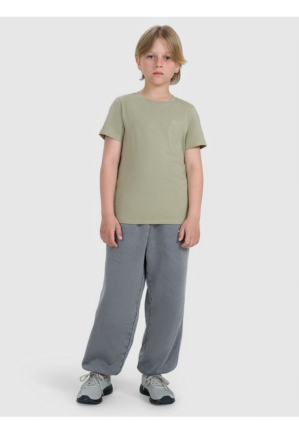 4f - 4F T-shirt regular gładki chłopięcy - zielony 152 (11-12 lat). Okazja: na co dzień. Kolor: zielony. Materiał: bawełna, materiał, jersey. Długość rękawa: krótki rękaw. Długość: krótkie. Wzór: gładki. Sezon: lato. Styl: klasyczny, młodzieżowy, sportowy, casual