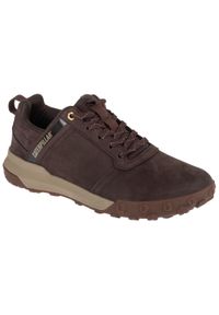 CATerpillar - Buty sportowe Sneakersy męskie, Hex Ready Lo. Kolor: brązowy. Sport: turystyka piesza