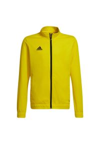 Adidas - Bluza piłkarska dla dzieci adidas Entrada 22 Track Jacket. Kolor: żółty, wielokolorowy, czarny. Materiał: materiał. Sport: piłka nożna