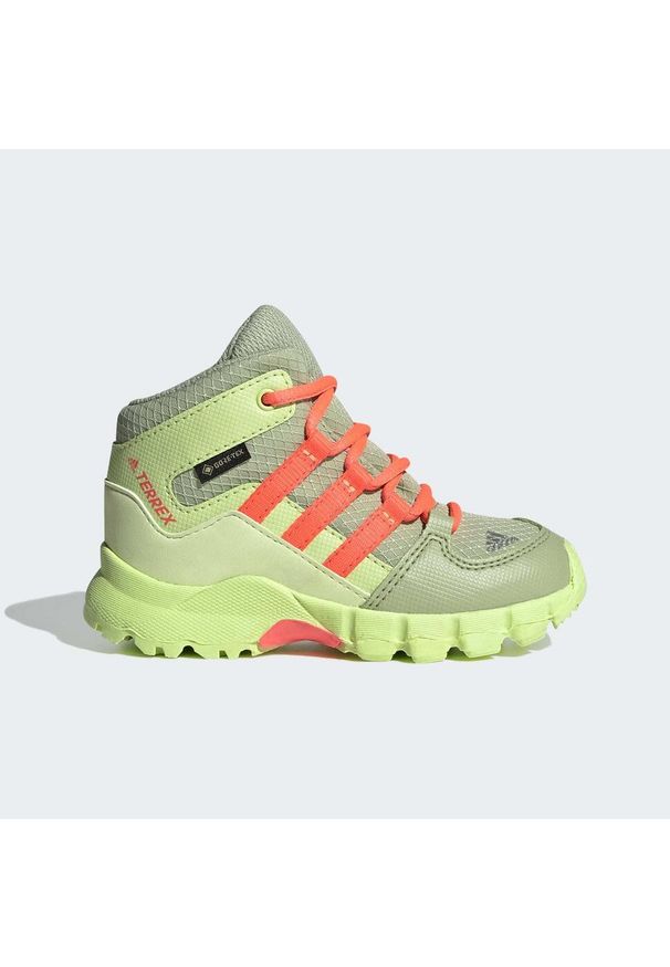 Buty turystyczne dla dzieci Adidas Terrex Mid GTX. Kolor: czarny, zielony, wielokolorowy, żółty. Sezon: zima. Model: Adidas Terrex. Sport: turystyka piesza