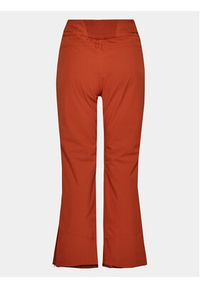 Protest Spodnie narciarskie Cinnamon P4693100 Brązowy Regular Fit. Kolor: brązowy. Materiał: syntetyk. Sport: narciarstwo #2