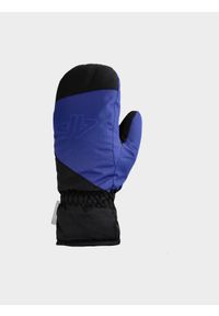 4F JUNIOR - Rękawice narciarskie Thinsulate© chłopięce - niebieskie. Kolor: niebieski. Materiał: materiał, syntetyk. Technologia: Thinsulate. Sport: narciarstwo