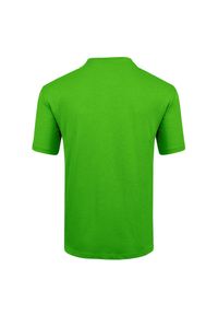 Koszulka męska Salewa Lines Graphic 28065. Materiał: jersey, bawełna, materiał, syntetyk, włókno, poliester. Długość: długie