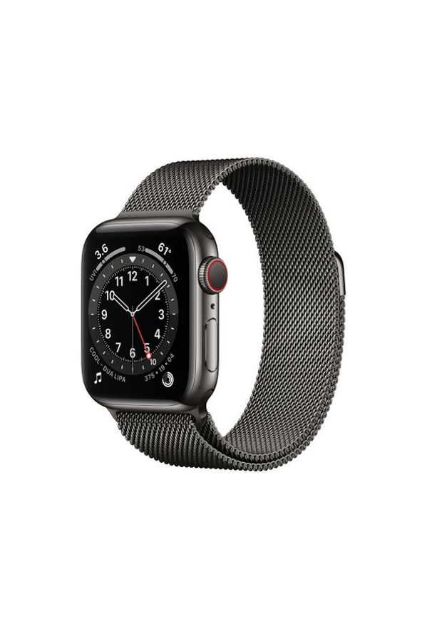 APPLE Watch Series 6 GPS + Cellular, 40mm Graphite Stainless Steel Case with Graphite Milanese Loop
