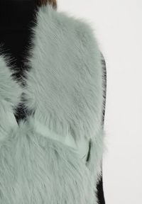 Born2be - Miętowa Kamizelka Futrzana z Wstawkami z Ekoskóry Batliewa. Kolor: miętowy. Materiał: futro. Wzór: aplikacja #4