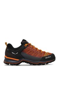 Trekkingi Salewa. Kolor: pomarańczowy. Sport: turystyka piesza #1