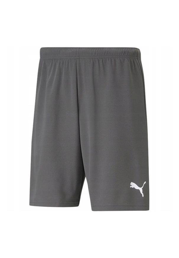 Puma - Męskie Spodenki TeamRISE. Kolor: brązowy. Sport: turystyka piesza