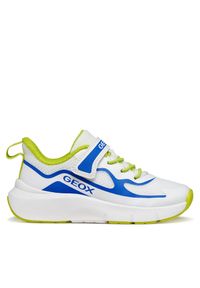 Sneakersy Geox. Kolor: biały #1